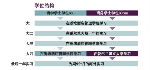 為何選擇愛爾蘭香儂酒店管理學院 開啟卓越酒店管理職業生涯的明智之選