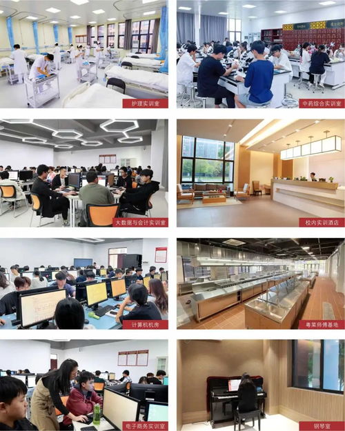 廣東酒店管理職業技術學院2024年春季高考餐飲管理專業詳解 開啟酒店服務業職業新篇章